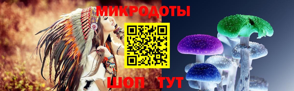 Галлюциногенные грибы GOLDEN TEACHER Великий Устюг
